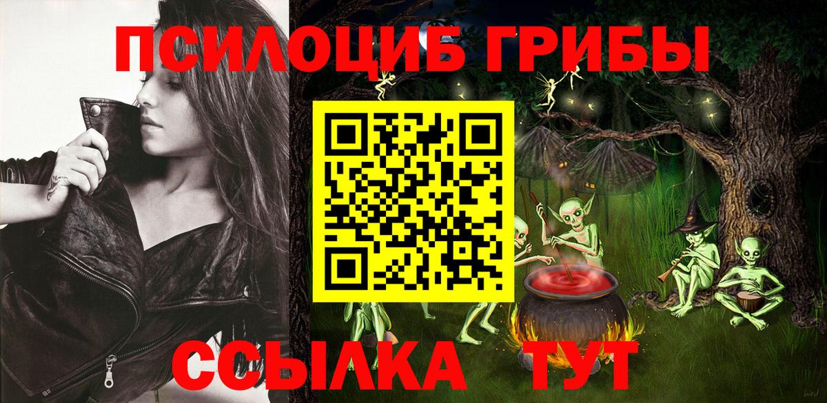 Аргун  Галлюциногенные грибы мухоморы  Вход с VPN  Псилоцибиновые грибы Magic Shrooms 
