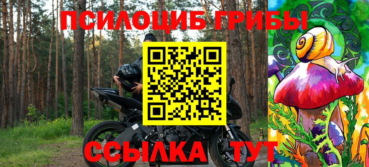 Псилоцибиновые грибы Cubensis Аргун